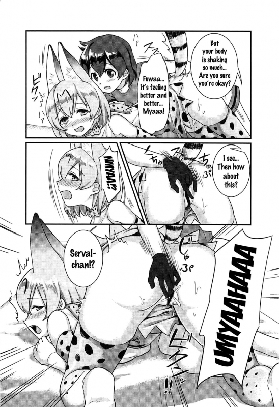 (C92) [Tendoushi (Fukuroumori)] Daisuki ni Kimatteru!! (Kemono Friends) [English] {doujins.com}_12