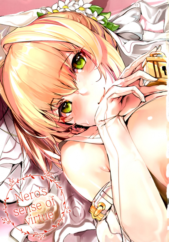 (C93) [Kansai Gyogyou Kyoudou Kumiai (Marushin)] Nero no Teisou Kannen _01