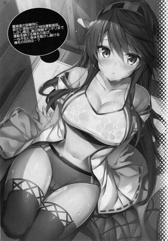 (C93) [Mofurentei (Xe)] Rikusepa Shukujo Haruna no Nimensei Rokuki (Kantai_01