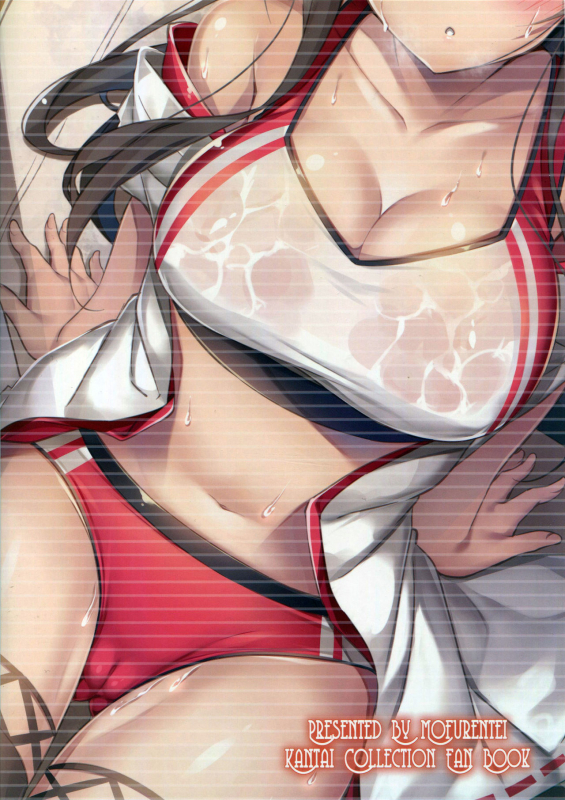 (C93) [Mofurentei (Xe)] Rikusepa Shukujo Haruna no Nimensei Rokuki (Kantai_21