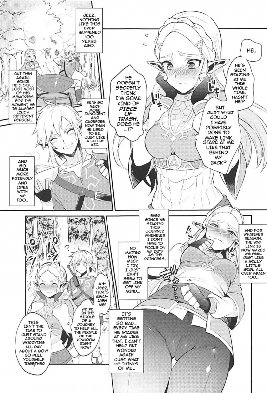 (C93) [Morittokoke (Morikoke)] Hyrule Hanei no Tame n_05