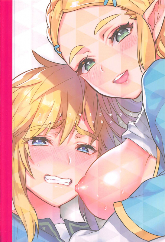 (C93) [Morittokoke (Morikoke)] Hyrule Hanei no Tame n_25