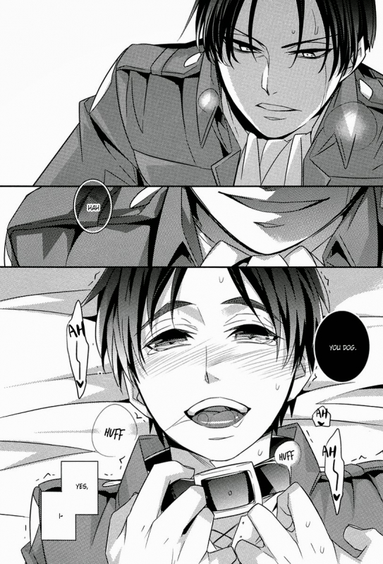 (CCOsaka94) [Crazy9 (Ichitaka)] Inu no Yorokobi (Shingeki no kyojin) [English] [Lupo Fantasma Scanla_15