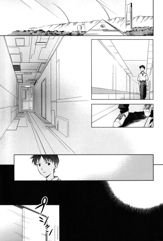 (CCTokyo123) [Cassino (Magarikoji Lily)] NO (Neon Genesis Evangelion) [rational madness]_03