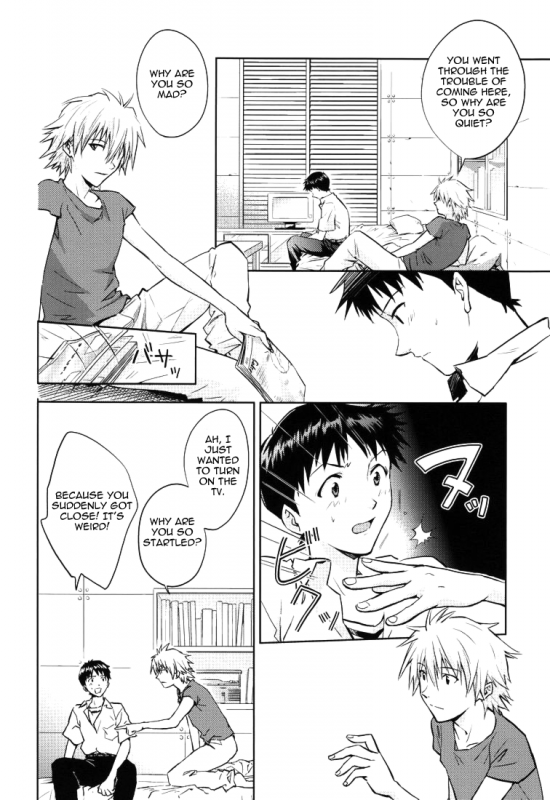 (CCTokyo123) [Cassino (Magarikoji Lily)] NO (Neon Genesis Evangelion) [rational madness]_06