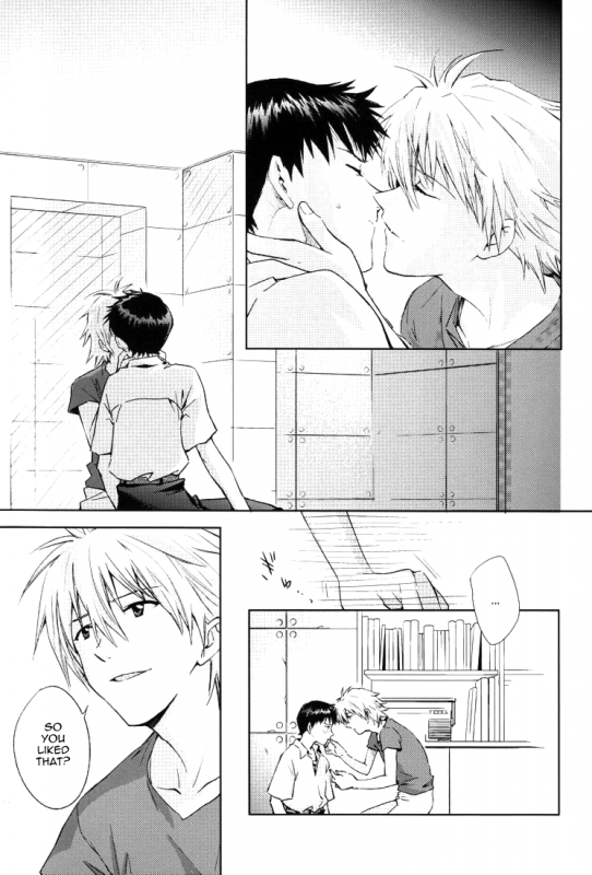 (CCTokyo123) [Cassino (Magarikoji Lily)] NO (Neon Genesis Evangelion) [rational madness]_09