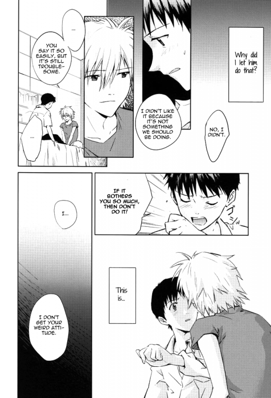 (CCTokyo123) [Cassino (Magarikoji Lily)] NO (Neon Genesis Evangelion) [rational madness]_10