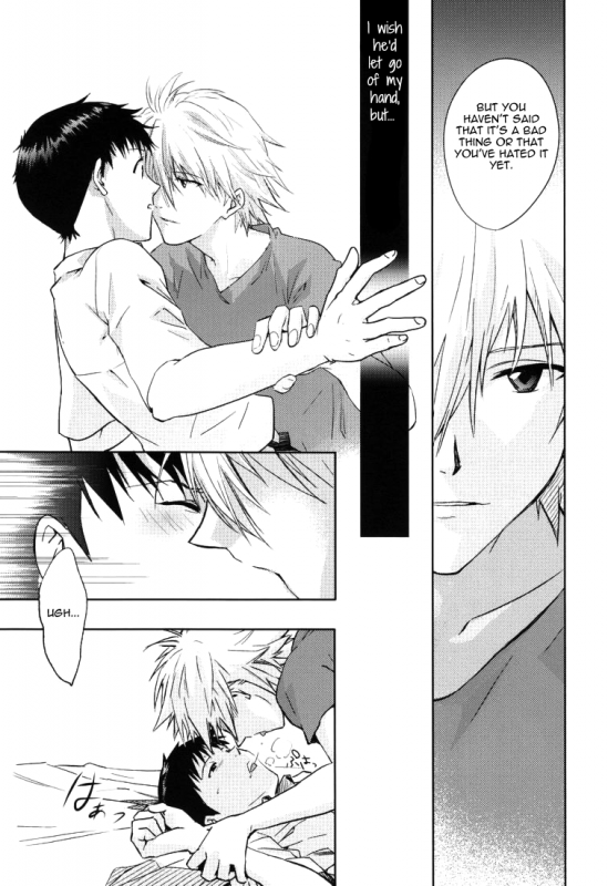 (CCTokyo123) [Cassino (Magarikoji Lily)] NO (Neon Genesis Evangelion) [rational madness]_11