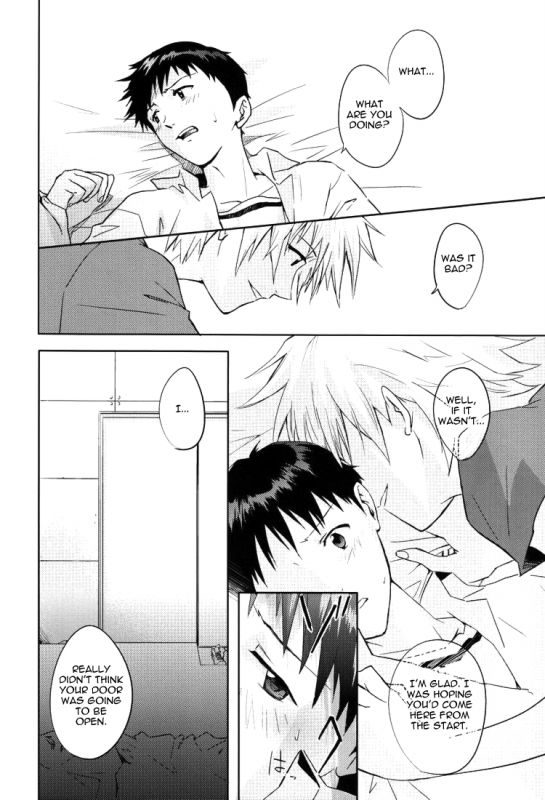 (CCTokyo123) [Cassino (Magarikoji Lily)] NO (Neon Genesis Evangelion) [rational madness]_12