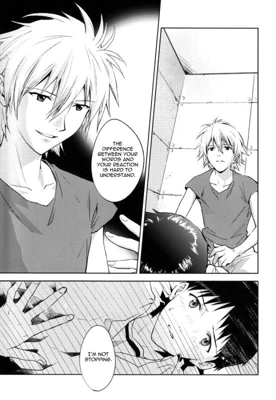 (CCTokyo123) [Cassino (Magarikoji Lily)] NO (Neon Genesis Evangelion) [rational madness]_15