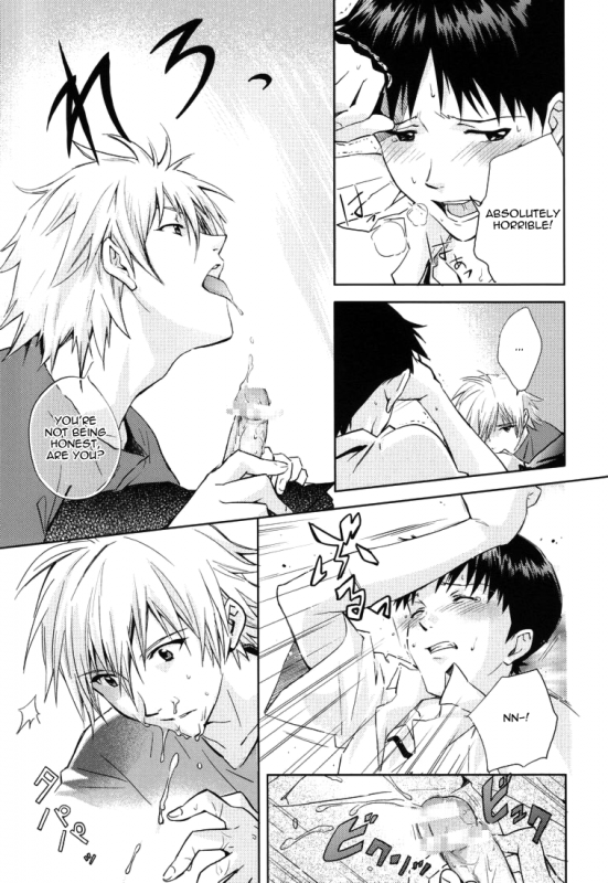 (CCTokyo123) [Cassino (Magarikoji Lily)] NO (Neon Genesis Evangelion) [rational madness]_17