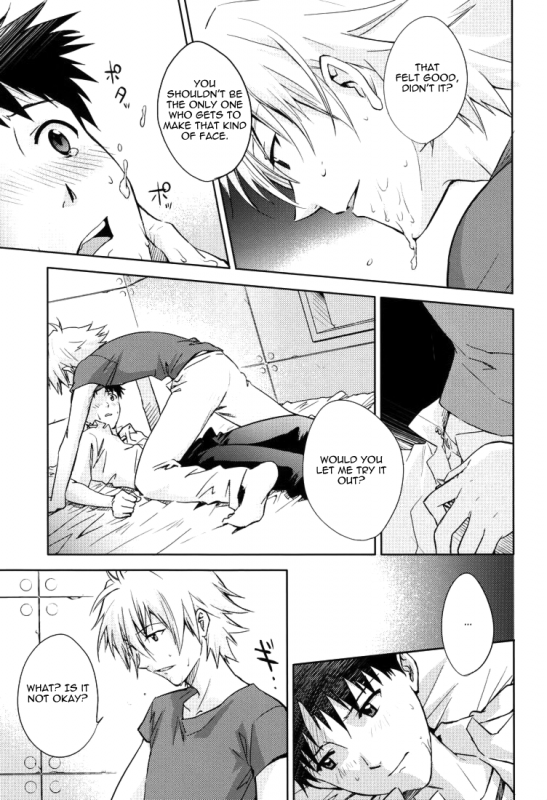 (CCTokyo123) [Cassino (Magarikoji Lily)] NO (Neon Genesis Evangelion) [rational madness]_19