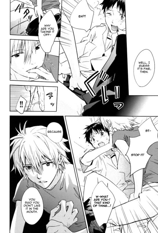 (CCTokyo123) [Cassino (Magarikoji Lily)] NO (Neon Genesis Evangelion) [rational madness]_20