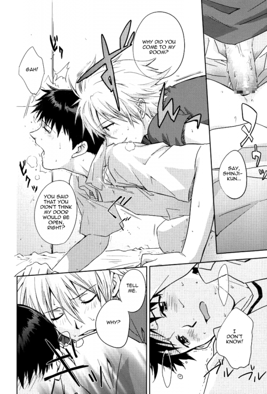 (CCTokyo123) [Cassino (Magarikoji Lily)] NO (Neon Genesis Evangelion) [rational madness]_24