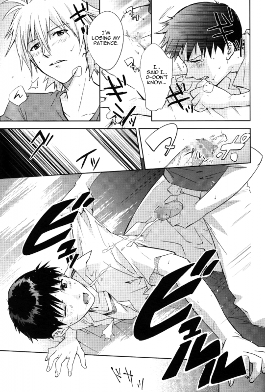 (CCTokyo123) [Cassino (Magarikoji Lily)] NO (Neon Genesis Evangelion) [rational madness]_25