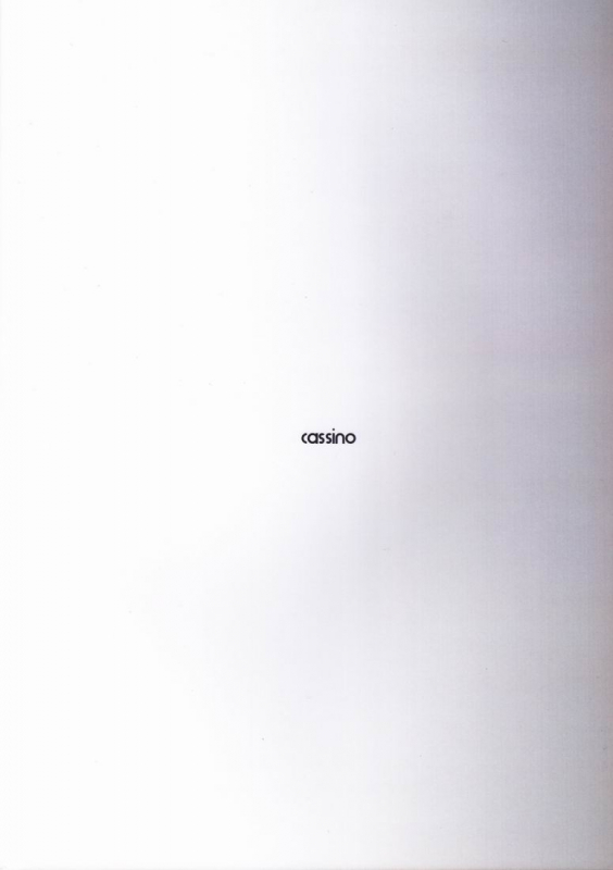 (CCTokyo123) [Cassino (Magarikoji Lily)] NO (Neon Genesis Evangelion) [rational madness]_33