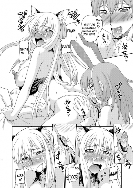 (COMIC1☆05) [Jack-O'-lantern (Neriwasabi)] Selvaria Oppai (Valkyria Chronicles) [English] {doujin-moe_12