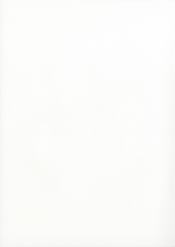 (COMIC1☆11) [Kansai Gyogyou Kyoudou Kumiai (Marushin)] Order Made Pillow (FateGrand Order) _10