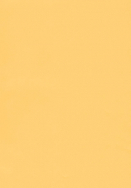 (COMIC1☆11) [LemonMaiden (Aoi Masami)] Illya-chan to Love Love Reijyux (Fatekalei_02