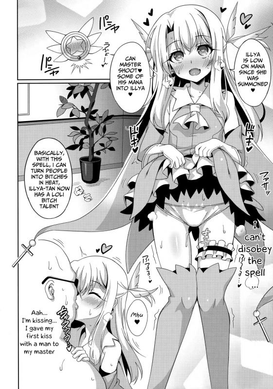 (COMIC1☆11) [LemonMaiden (Aoi Masami)] Illya-chan to Love Love Reijyux (Fatekalei_08