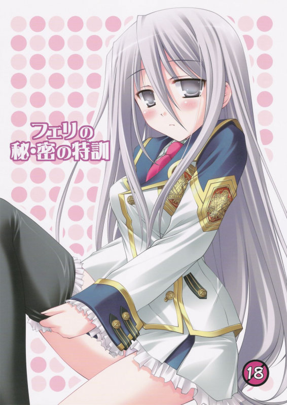 (COMIC1☆3) [Nirvana Soft (HIRONII)] Felli no Hi-Mitsu Tokkun (Chrome Shelled Regios) [English]_00