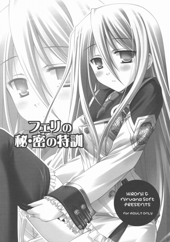 (COMIC1☆3) [Nirvana Soft (HIRONII)] Felli no Hi-Mitsu Tokkun (Chrome Shelled Regios) [English]_02