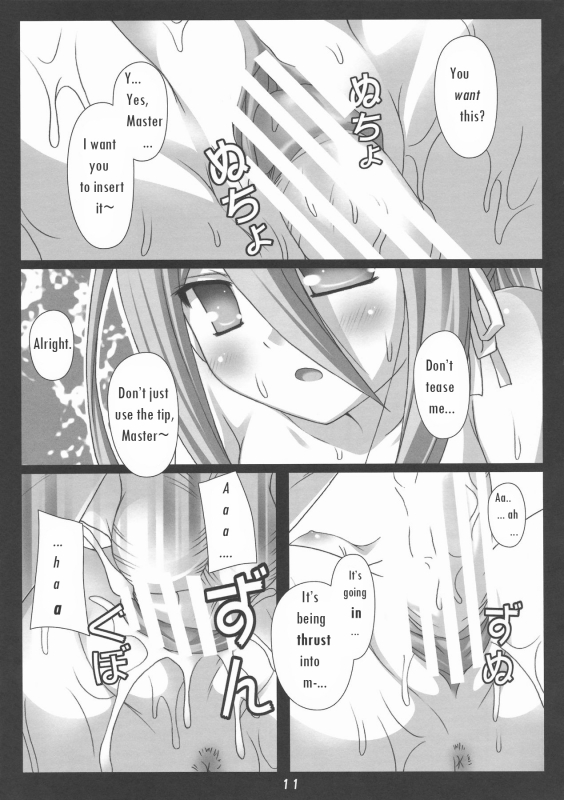 (COMIC1☆3) [Nirvana Soft (HIRONII)] Felli no Hi-Mitsu Tokkun (Chrome Shelled Regios) [English]_10