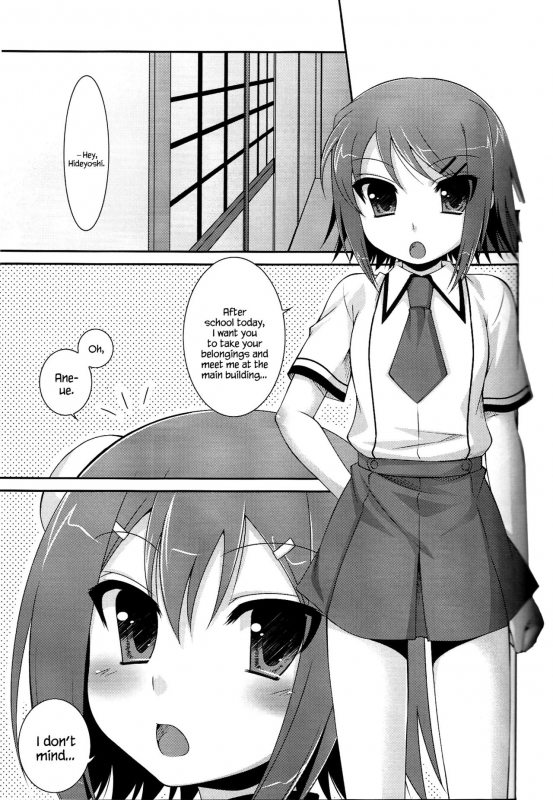 (COMIC1☆4) [ETC x ETC (Hazuki)] Ambivalent (Baka to Test to Shoukanjuu) [English] {Hennojin}_03