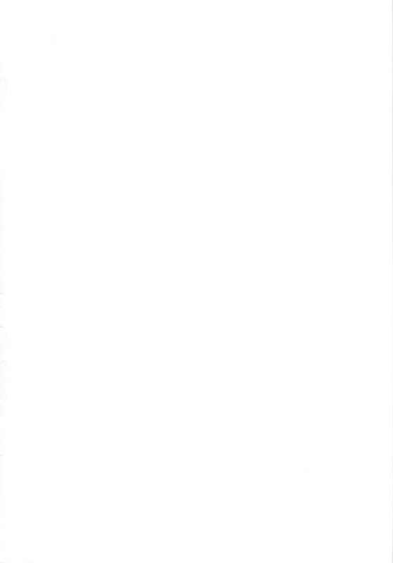 (COMIC1☆4) [Kamogawaya (Kamogawa Tanuki)] Nines SIDE-N (Mahou Shoujo Lyrical Nanoha) [English] [Pla_01