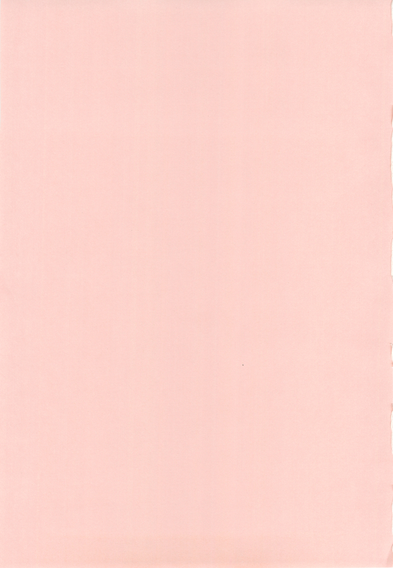 (COMIC1☆4) [Kamogawaya (Kamogawa Tanuki)] Nines SIDE-N (Mahou Shoujo Lyrical Nanoha) [English] [Pla_02