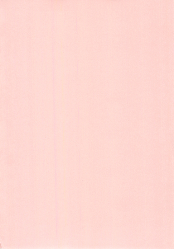 (COMIC1☆4) [Kamogawaya (Kamogawa Tanuki)] Nines SIDE-N (Mahou Shoujo Lyrical Nanoha) [English] [Pla_03