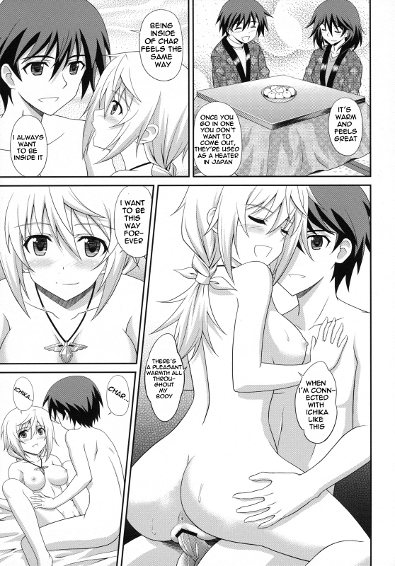 (COMIC1☆5) [CROSS-DO (Masakichi)] Infinite Sex (Infinite Stratos) [English] [Kibitou4Life]_05