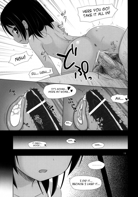 (COMIC1☆5) [Noraneko-no-Tama (Yukino Minato)] Kago no Naka no Kot_18