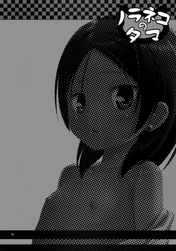 (COMIC1☆5) [Noraneko-no-Tama (Yukino Minato)] Kago no Naka no Kot_23