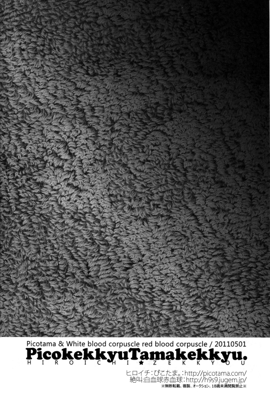 (COMIC1☆5) [Picotama., Hakkekkyuu Sekkekkyuu (Hiroichi, Zekkyou) two LOVE (Puella _30