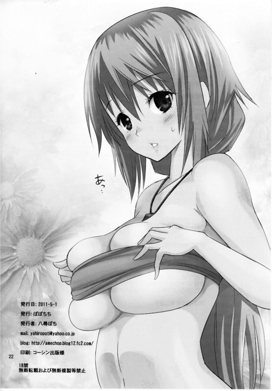 (COMIC1☆5) [Popochichi (Yahiro Pochi)] This is Harlem (Infinite Stratos) [English] {doujin-moe.us}_20