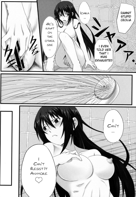 (COMIC1☆5) [Wonderful Life (emanon123)] Shinonono! (IS Infinite Stratos) [English] [Kibitou4Life]_08