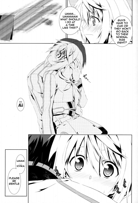 (COMIC1☆5)[Tonarinoyama]Lemoned IScream (Infinite Stratos) [English] [Kibitou4Life]_11