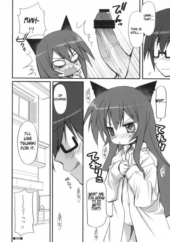 (COMIC1☆6) [Jyaraya (Morishima Petit)] Tsumiki Kuzushi (Acchi Kocchi) [English] [frizky]_14