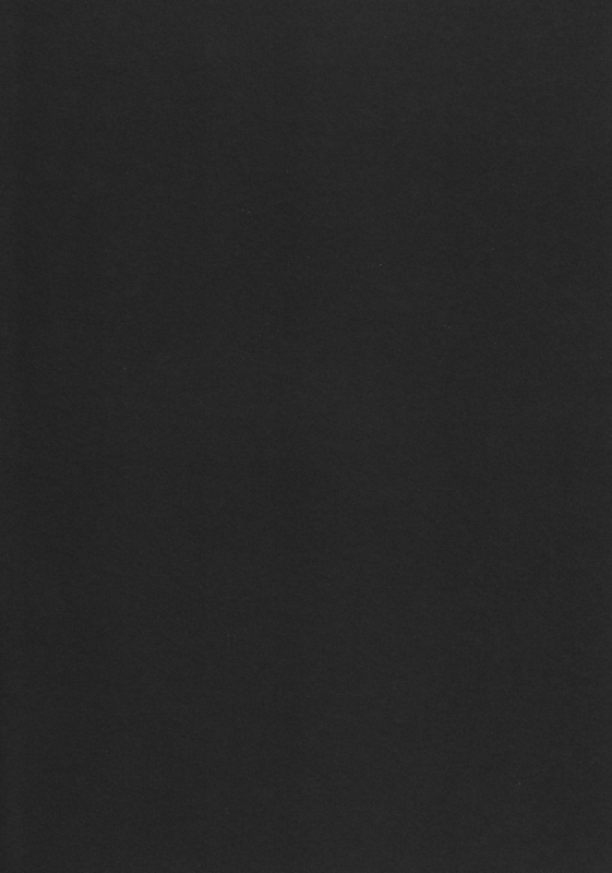 (COMIC1☆7) [Alkaloid (Izumiya Otoha)] Ousama no Iu Toori! (FateApocrypha) [English] [Life4Kaoru]_02