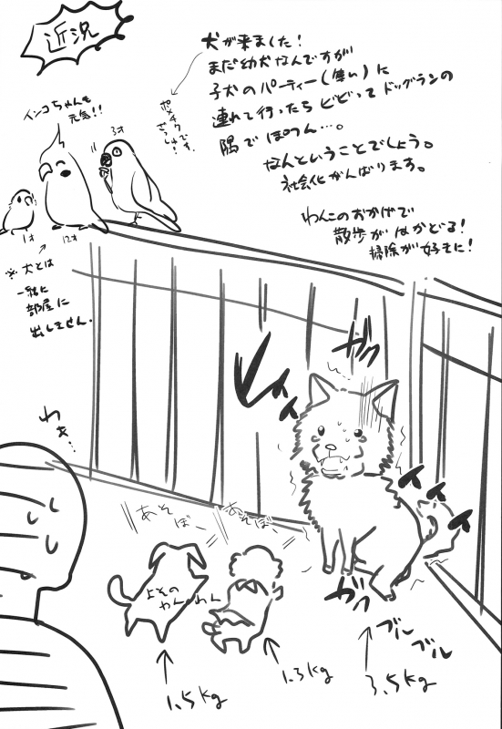 (COMIC1☆8) [chocolate Lv.5 (dynamite moca)] Match Uri no Otokonoko to Ki_24