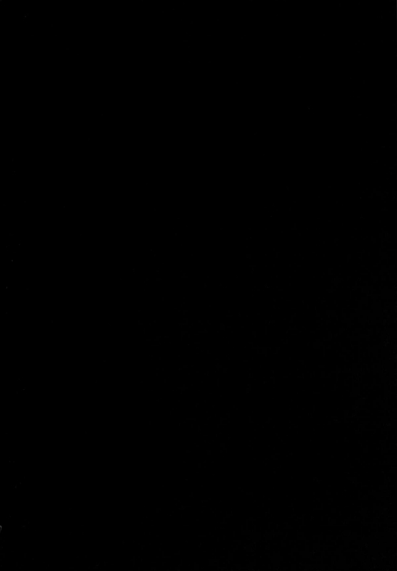 (COMIC1☆9) [PTD (Tatsuichi Monji)] PTD-ERO1 (To LOVE-Ru) [English] [desudesu]_55