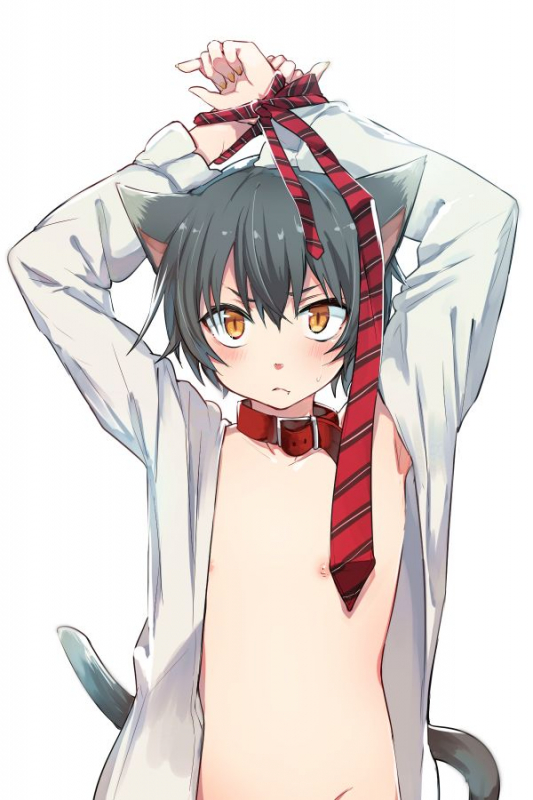 (COMITIA117) [Aoiro Ichiza (Aoiro Ichigou)] Nora Neko to Rainy Days [English] {Shotachan}_81