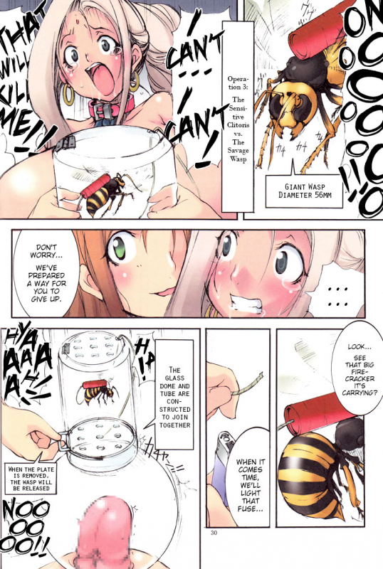 (COMITIA90) [Algolagnia (Mikoshiro Honnin)] St.Margareta Gakuen Black File [English] =LWB=_28