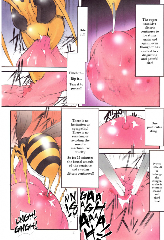 (COMITIA90) [Algolagnia (Mikoshiro Honnin)] St.Margareta Gakuen Black File [English] =LWB=_35