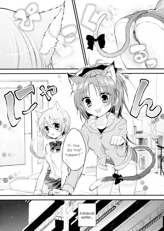 (CT21) [Honey Butter3g (Mizukaga Syou) Nyaa Nyaa Holic (Puella Magi Madoka Magica) [English]_03