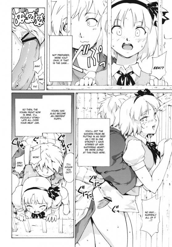 (ComiComi15) [PARANOIA CAT (Fujiwara Shunichi)] Touhou Ukiyo Emaki Sei_20