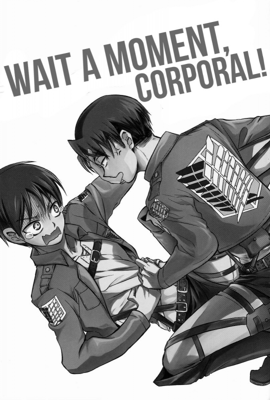 (FALL OF WALL2) [Sonic (PANA)] Chottomatte Heichou!!  Wait A Moment, Corporal! (Shing_01