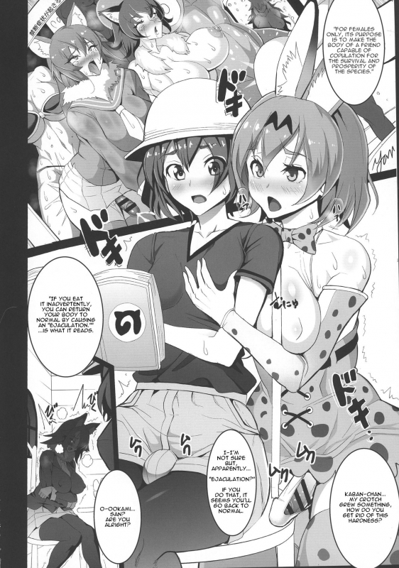 (Futaket 13) [Circle Sigma (Awamori Ichitarou)] Yabanna Friends (Kemono Friends) [English]_03