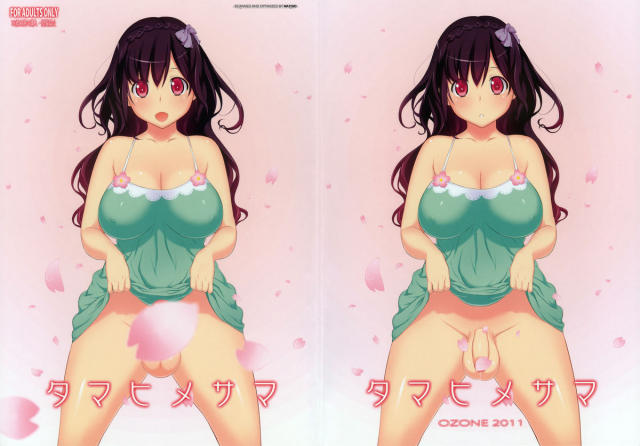 (Futaket 7) [OZONE (Marumiya)] Tamahime-sama [English] [SaHa]_00